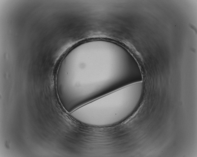 X0000097871167200803140911