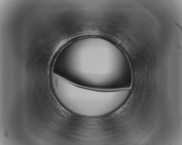 X0000097871168200803140911