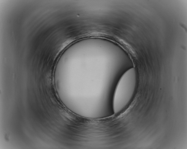 X0000097871170200803140911
