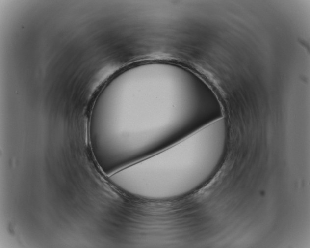 X0000097871171200803140911