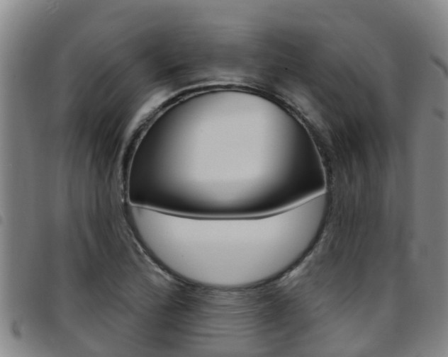 X0000097871172200803140911