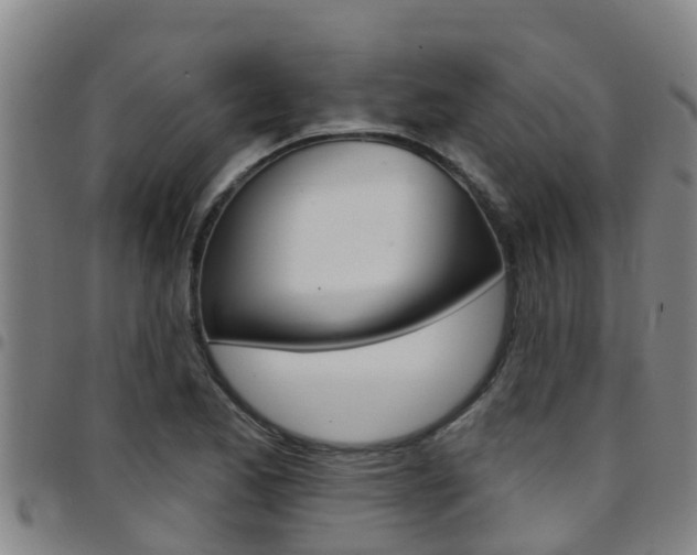 X0000097871173200803140911