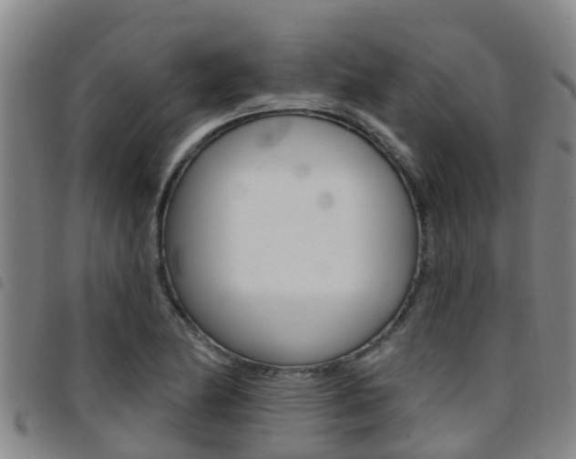 X0000097871174200803140911