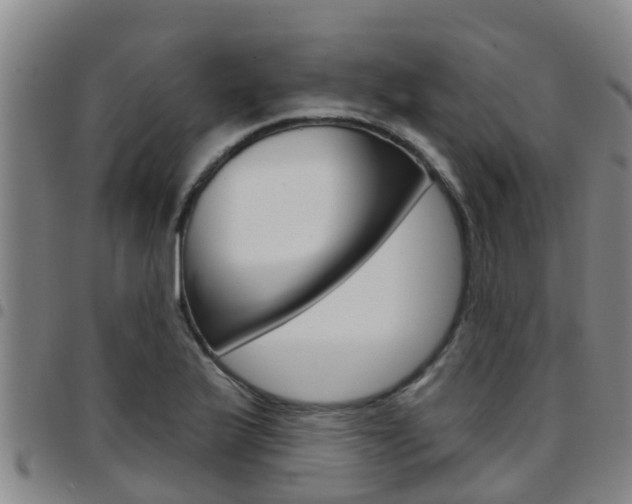 X0000097871175200803140911
