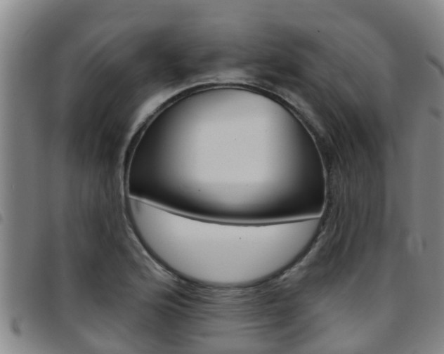 X0000097871176200803140911