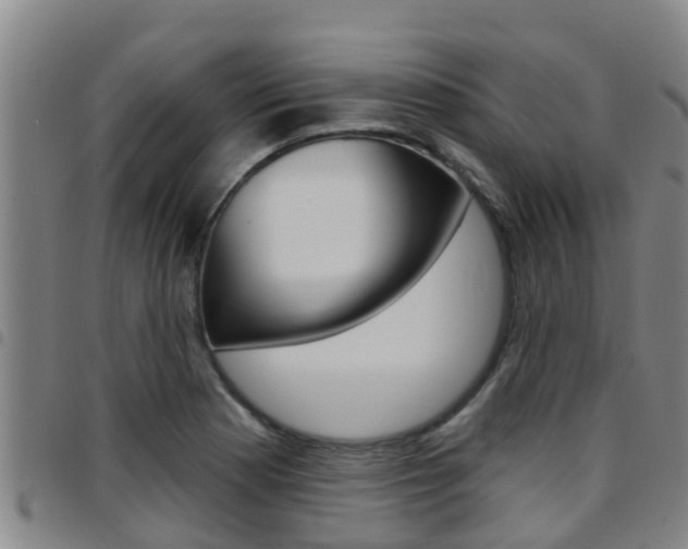 X0000097871177200803140911