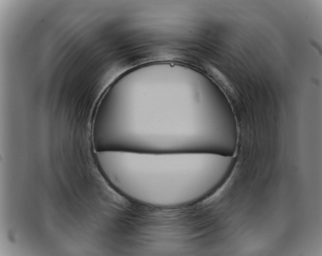 X0000097871178200803140911