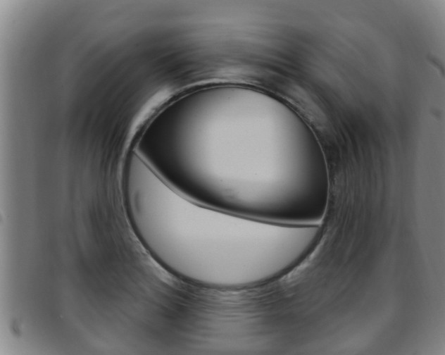 X0000097871180200803140911