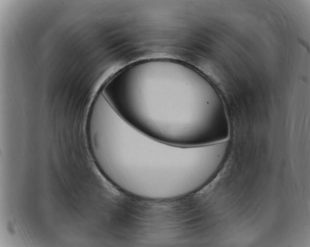 X0000097871181200803140911