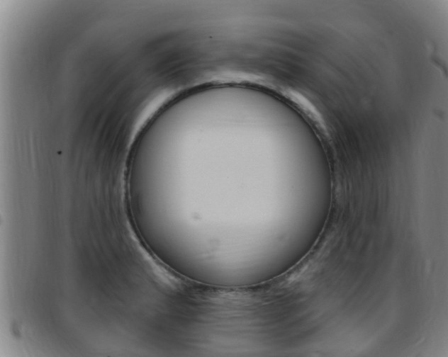 X0000097871183200803140911