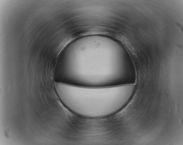 X0000097871185200803140911