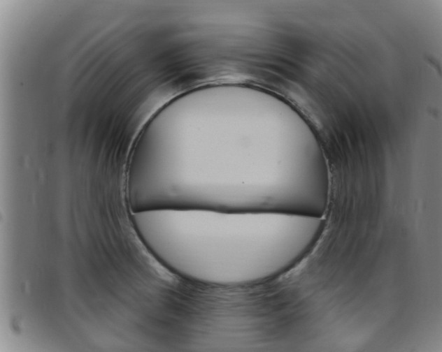 X0000097871186200803140911