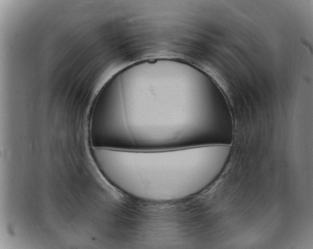 X0000097871187200803140911