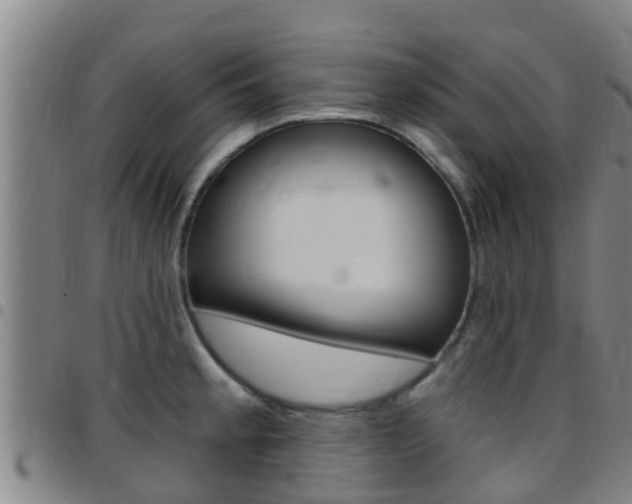 X0000097871189200803140911