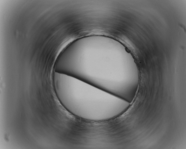 X0000097871190200803140911
