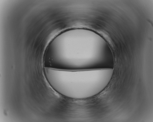 X0000097871191200803140911