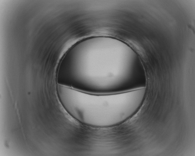 X0000097871192200803140911