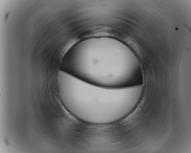 X0000097871193200803140911
