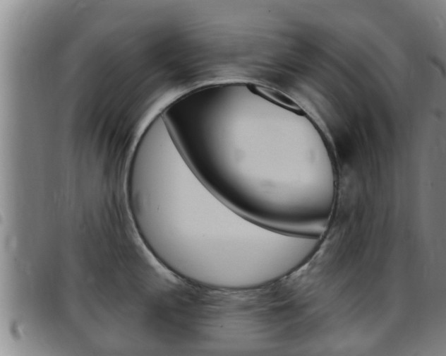 X0000097871197200803140911