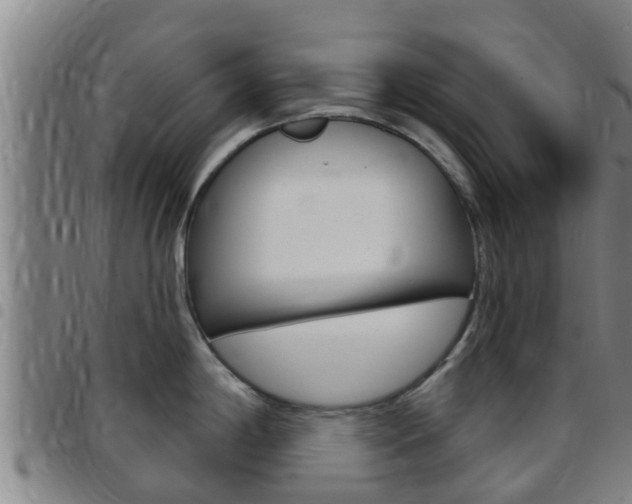 X0000097871198200803140911