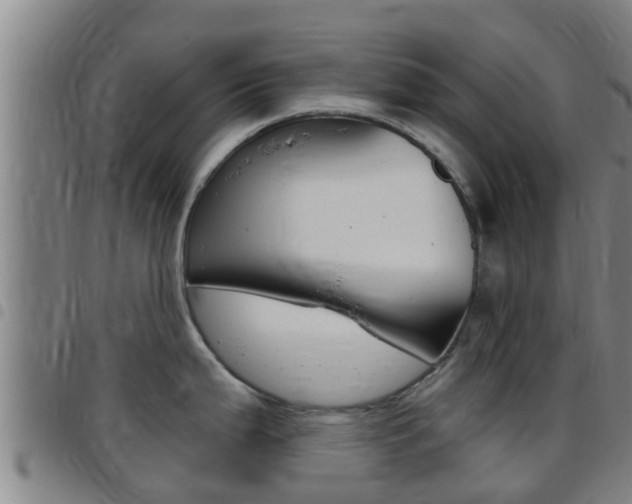 X0000097871199200803140911