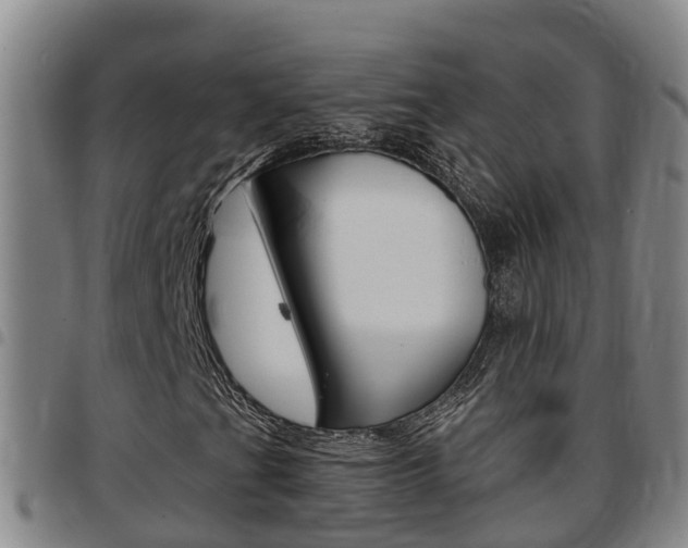 X0000097871201200803140910