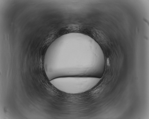 X0000097871203200803140910