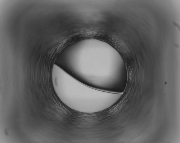 X0000097871204200803140910