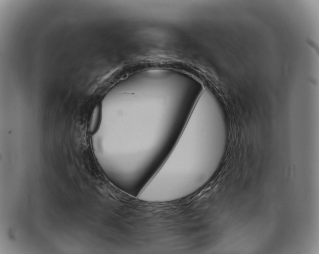 X0000097871205200803140910