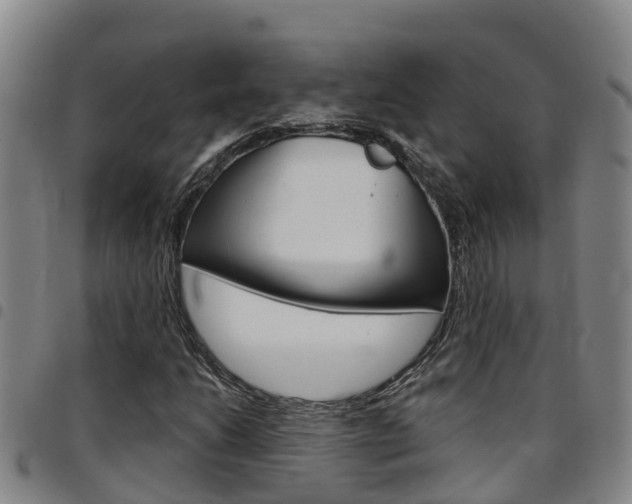 X0000097871206200803140910