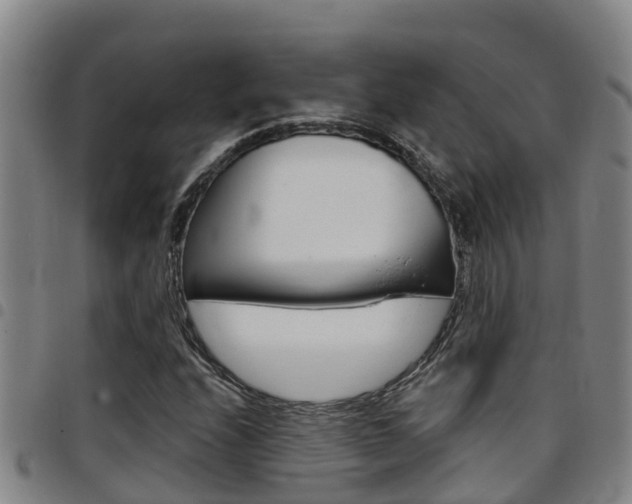 X0000097871208200803140910