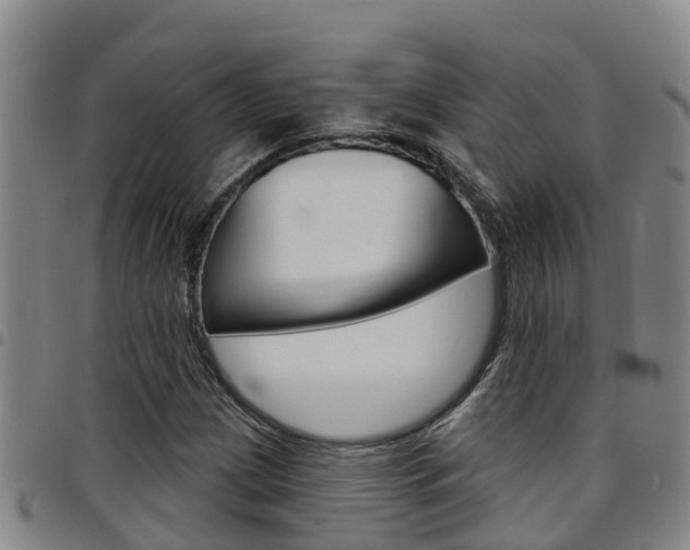 X0000097871209200803140910