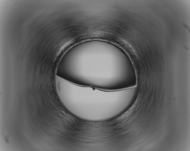 X0000097871210200803140910
