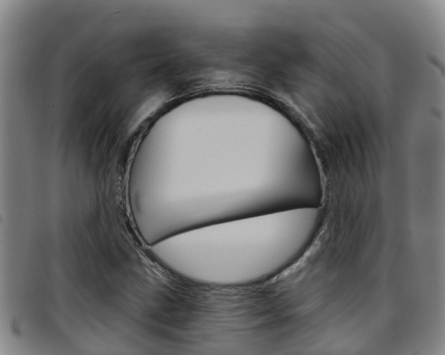 X0000097871211200803140910