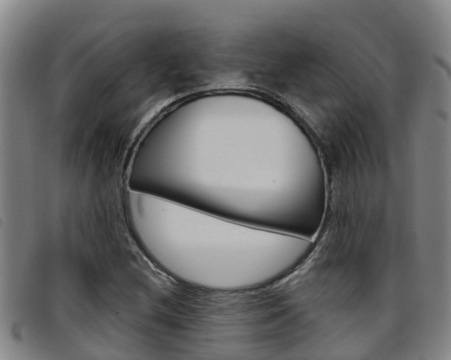 X0000097871212200803140910