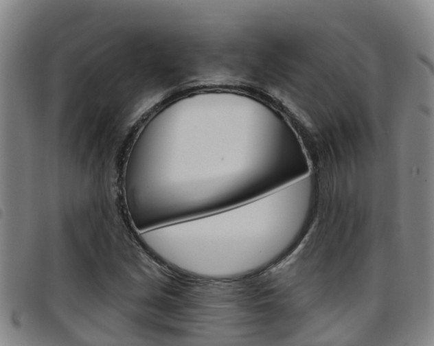 X0000097871213200803140910