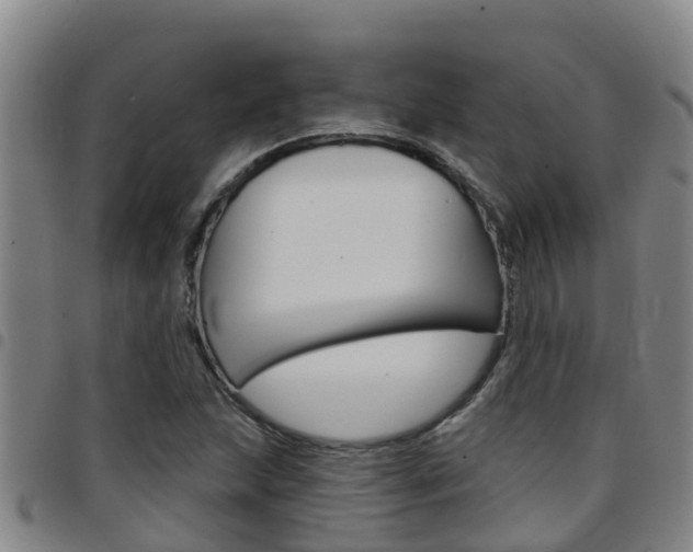 X0000097871215200803140910