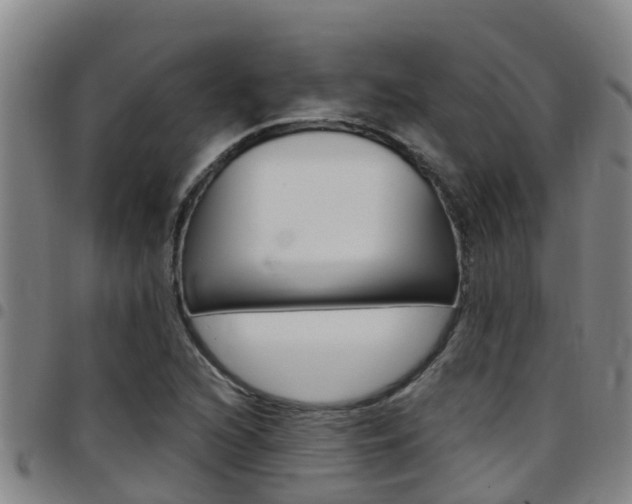 X0000097871216200803140910