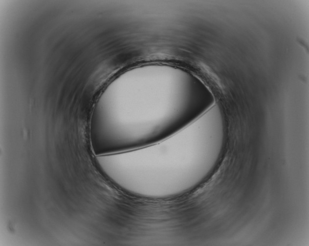 X0000097871217200803140910