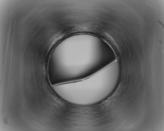 X0000097871218200803140911