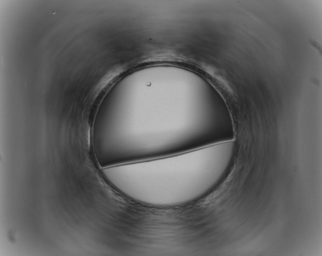 X0000097871221200803140911