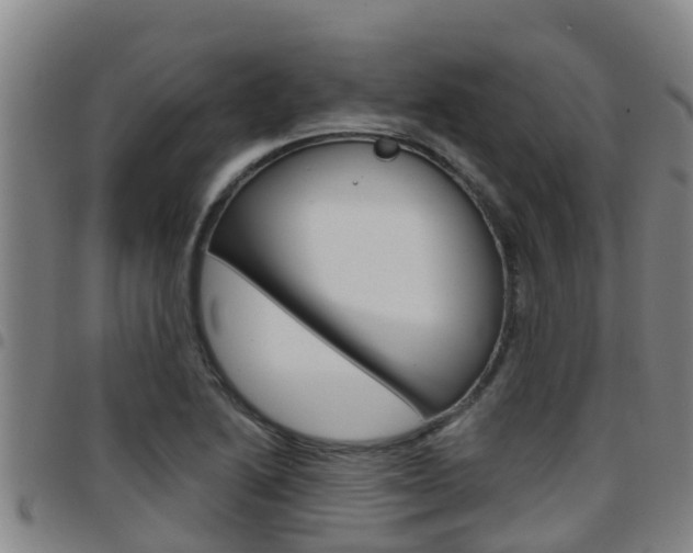 X0000097871222200803140911