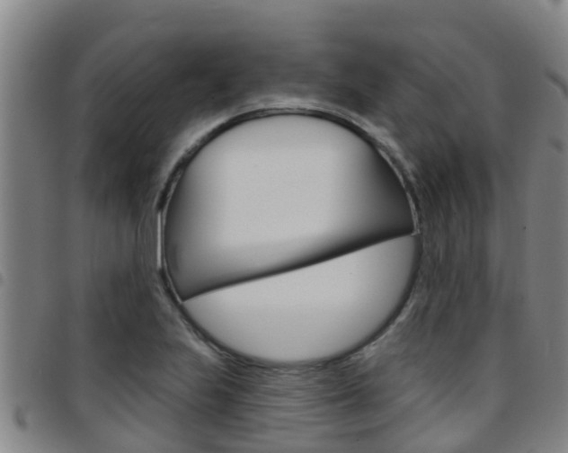 X0000097871223200803140911