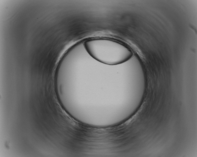 X0000097871224200803140911