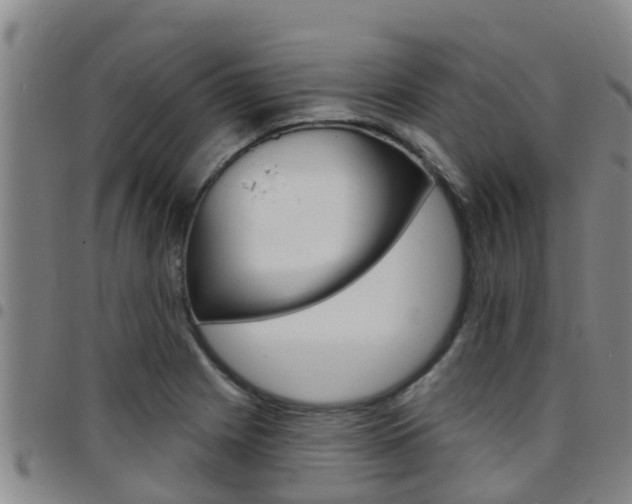 X0000097871225200803140911
