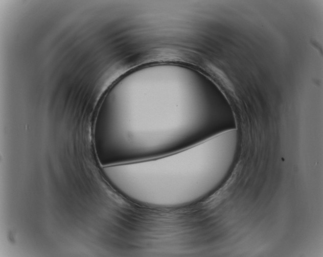 X0000097871226200803140911