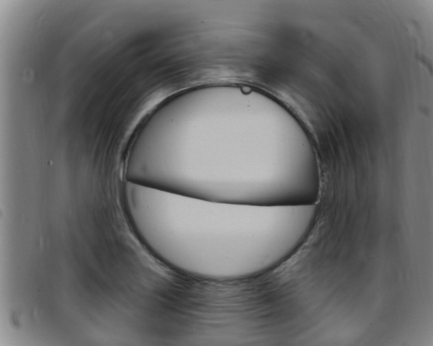 X0000097871227200803140911