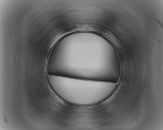 X0000097871228200803140911
