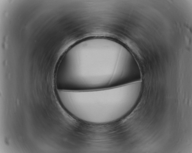 X0000097871229200803140911