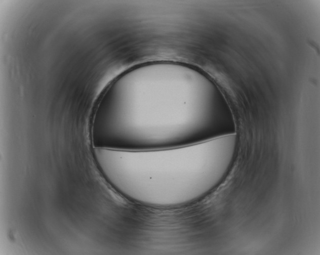 X0000097871230200803140911